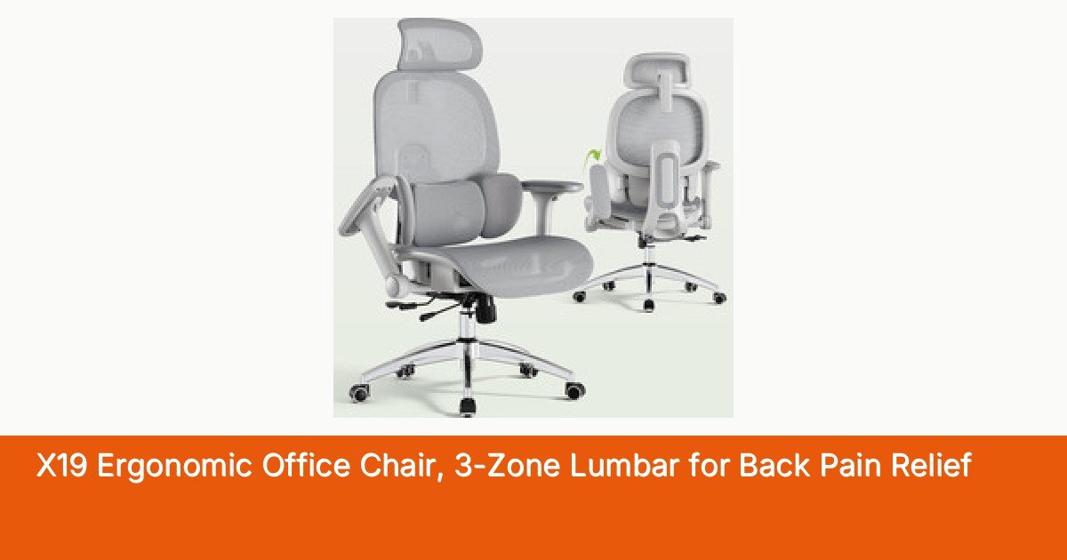 X19 Ergonomic Office Chair, 3-Zone Lumbar for Back Pain Relief